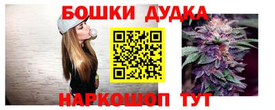 индика Дубна