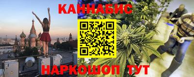 индика Дубна
