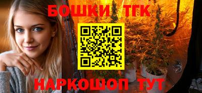 индика Дубна