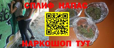 индика Дубна