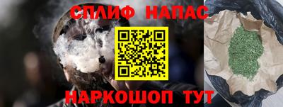 индика Дубна