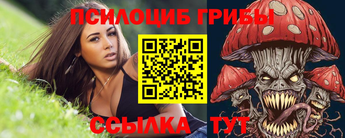 Псилоцибиновые грибы мицелий  Вход с VPN  Нефтеюганск  Псилоцибиновые грибы мицелий 
